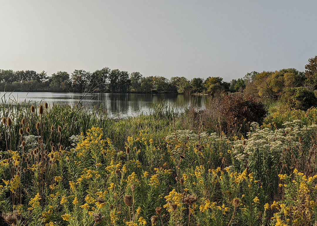 #49. Wood County, Ohio and Monroe County, Michigan