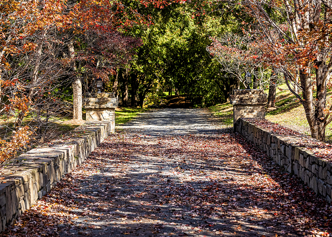 A scenic fall street in a luxury neighborhood in McLean on a fall day.