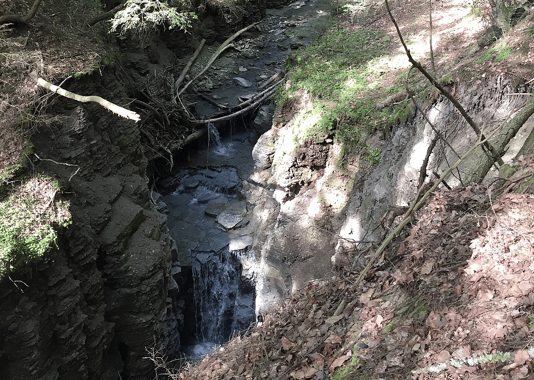 #24. Allegany