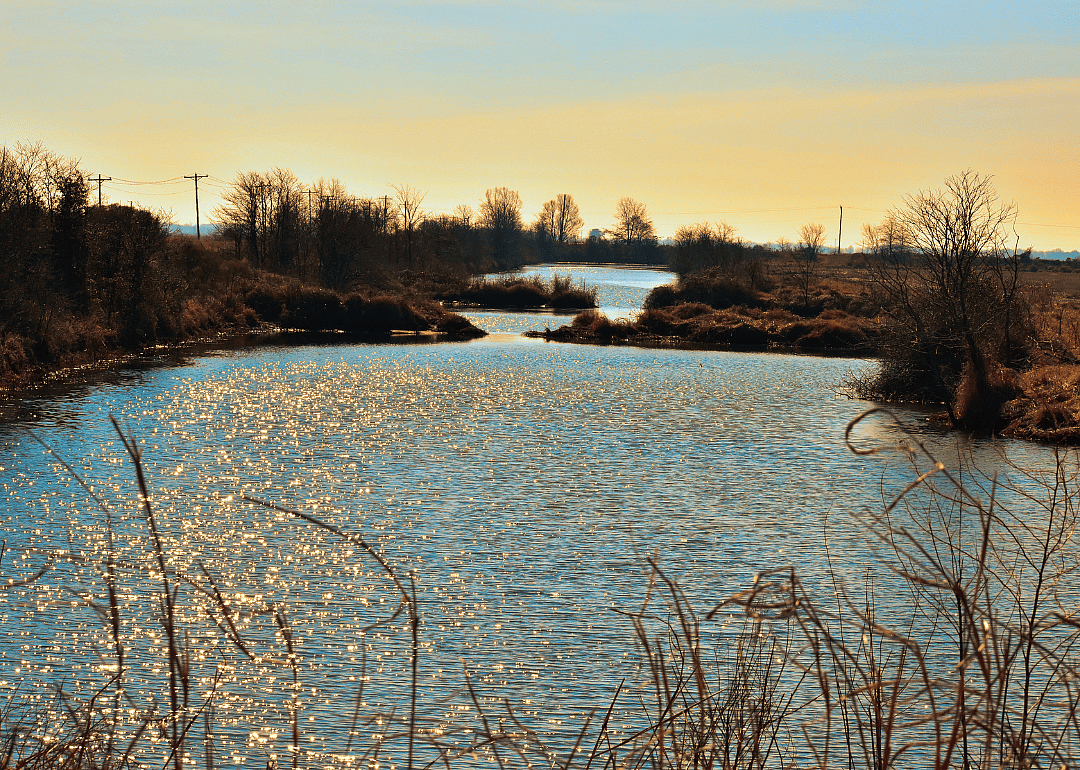 #35. St. Francis County