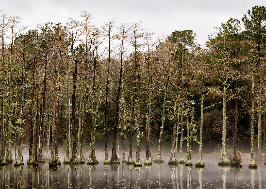#31. Kershaw County