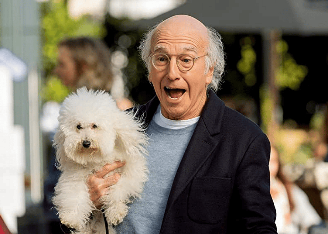 #8. Curb Your Enthusiasm