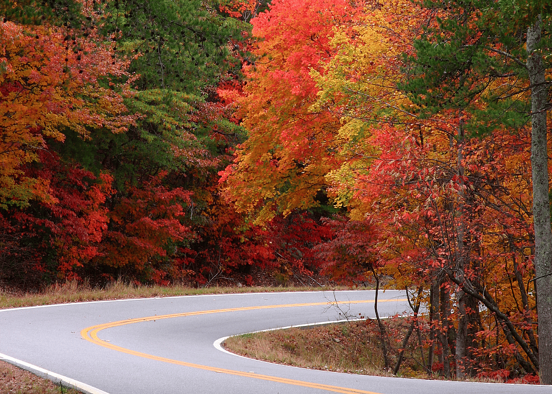 #48. Murray County, Georgia