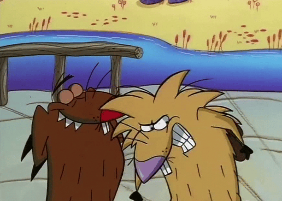 #45. The Angry Beavers
