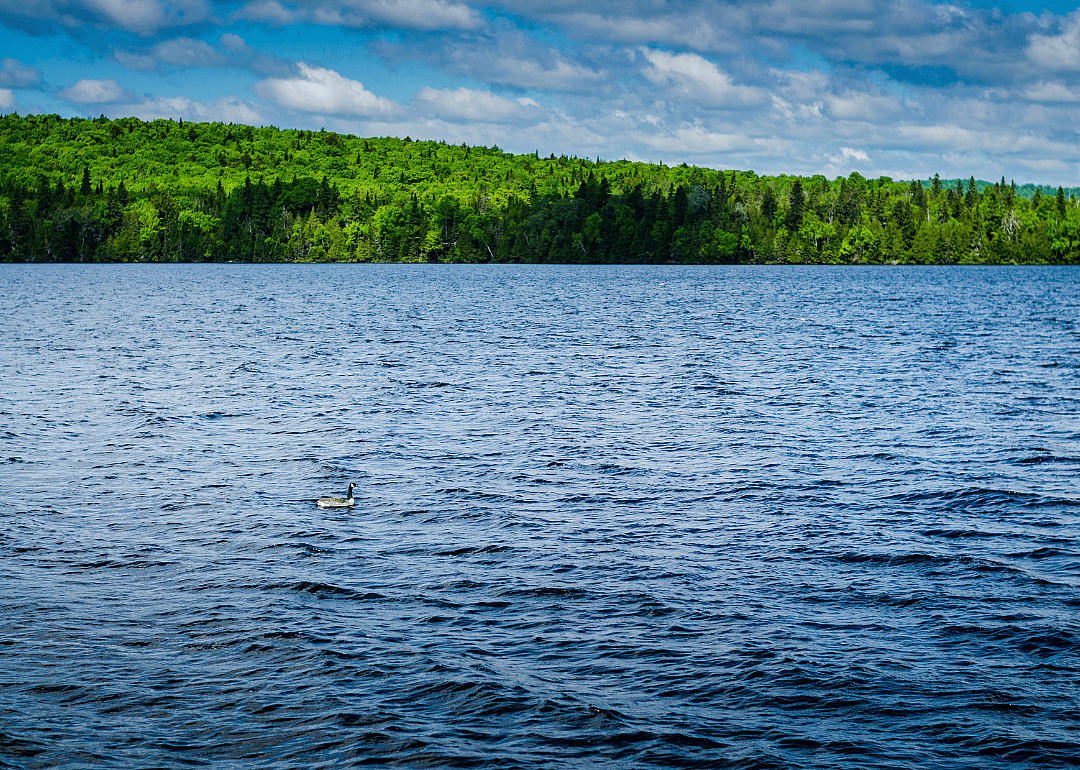 #10. Aroostook County