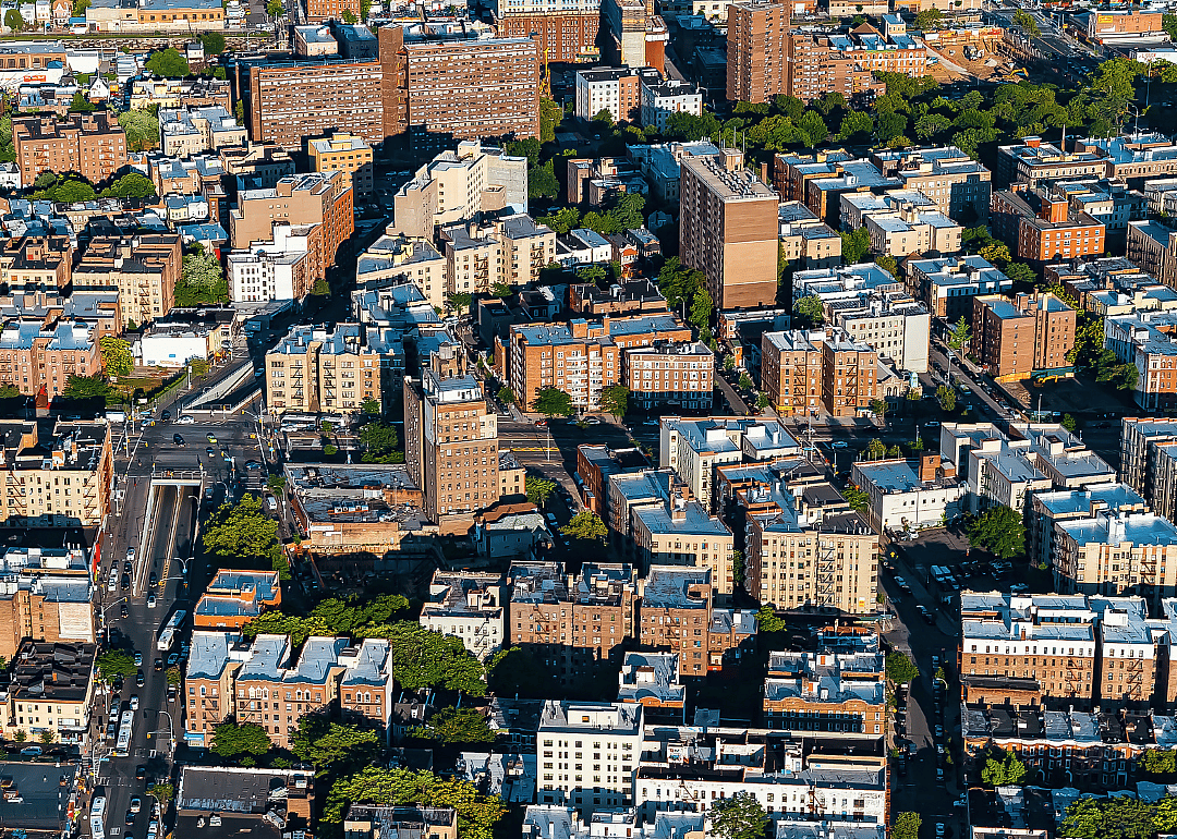 #15. The Bronx (tie)