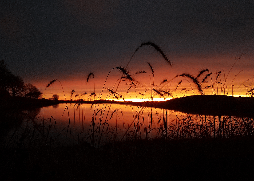 #30. Sibley County