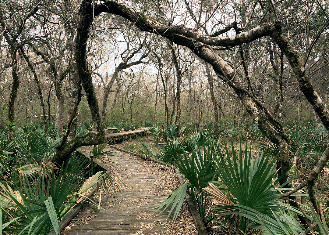 #23. Matagorda County