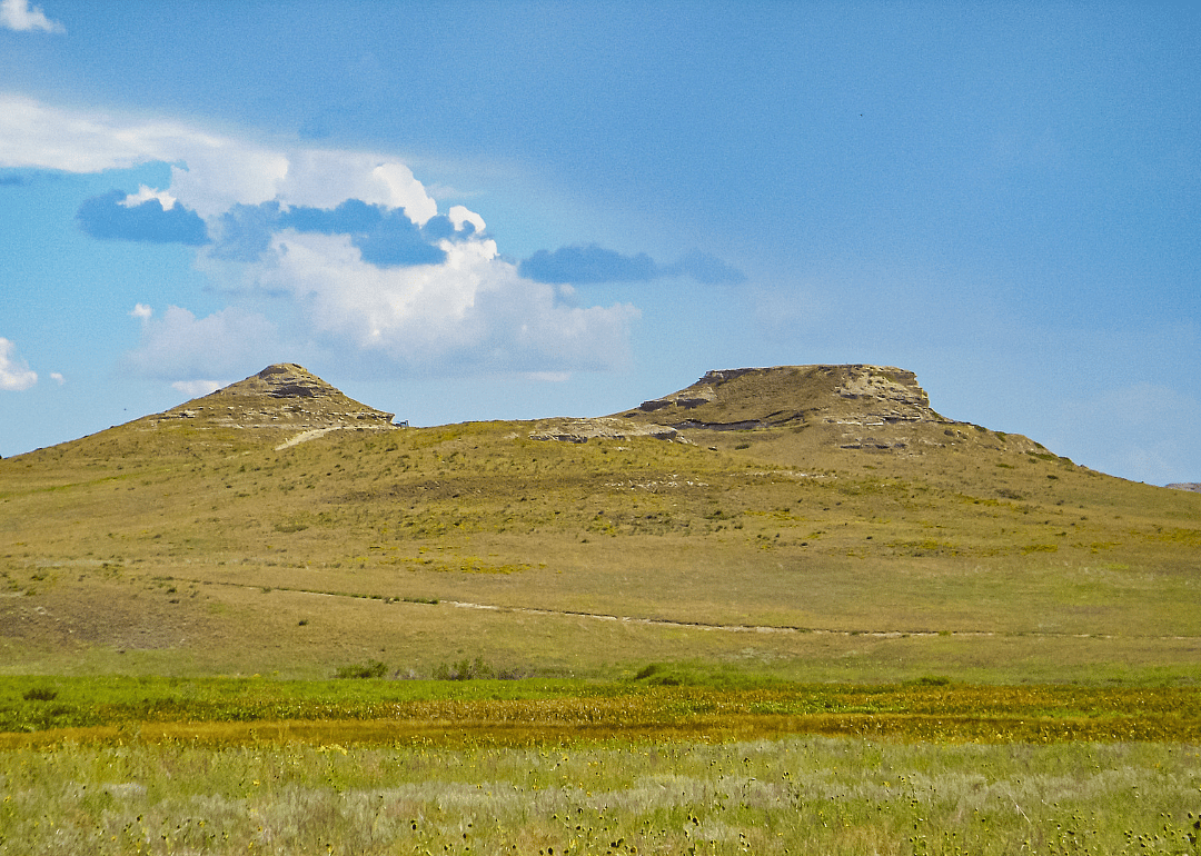 Loup County