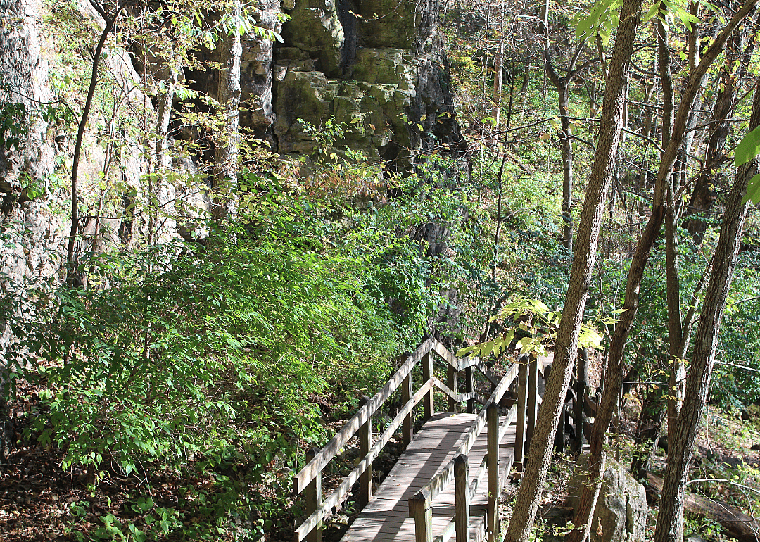 #49. Jackson County