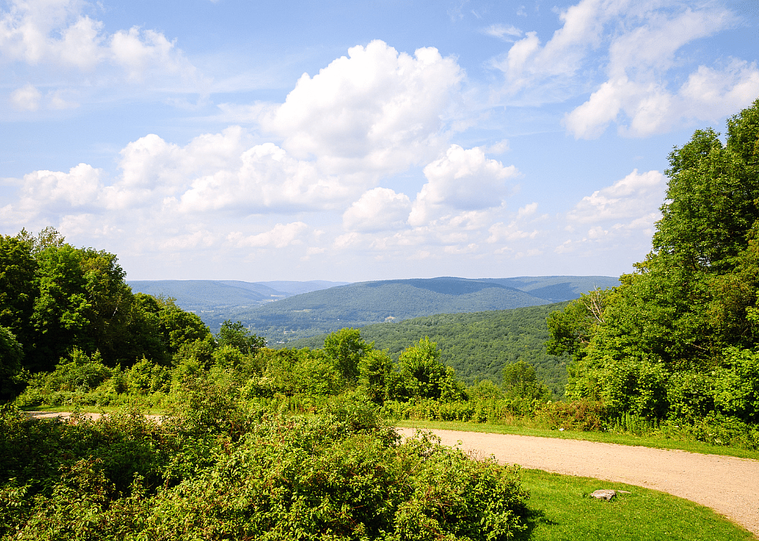 #36. Cattaraugus County