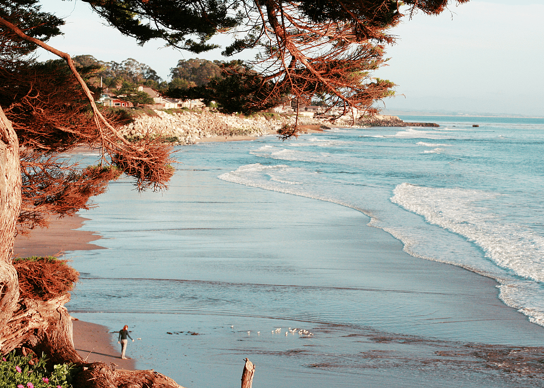#7. Santa Cruz County