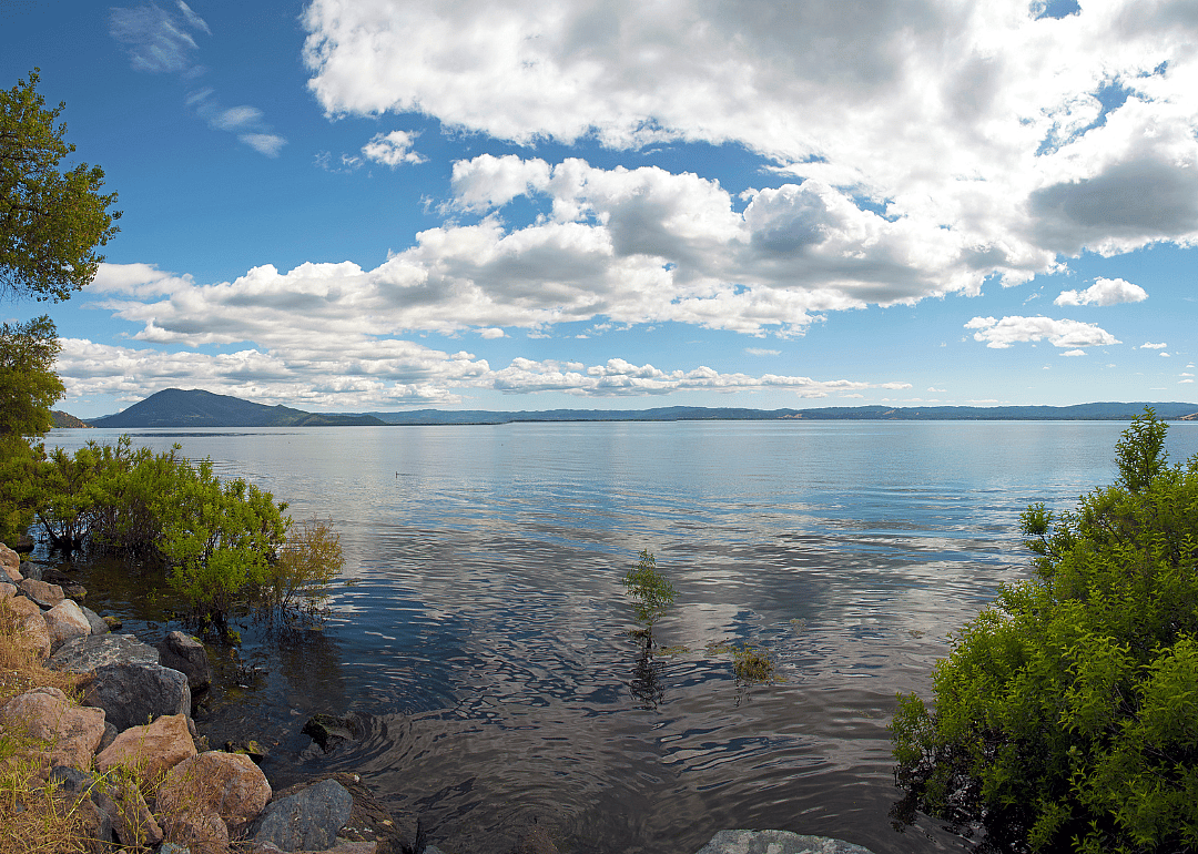#39. Lake County