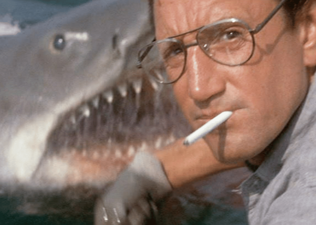 Roy Scheider in Jaws.