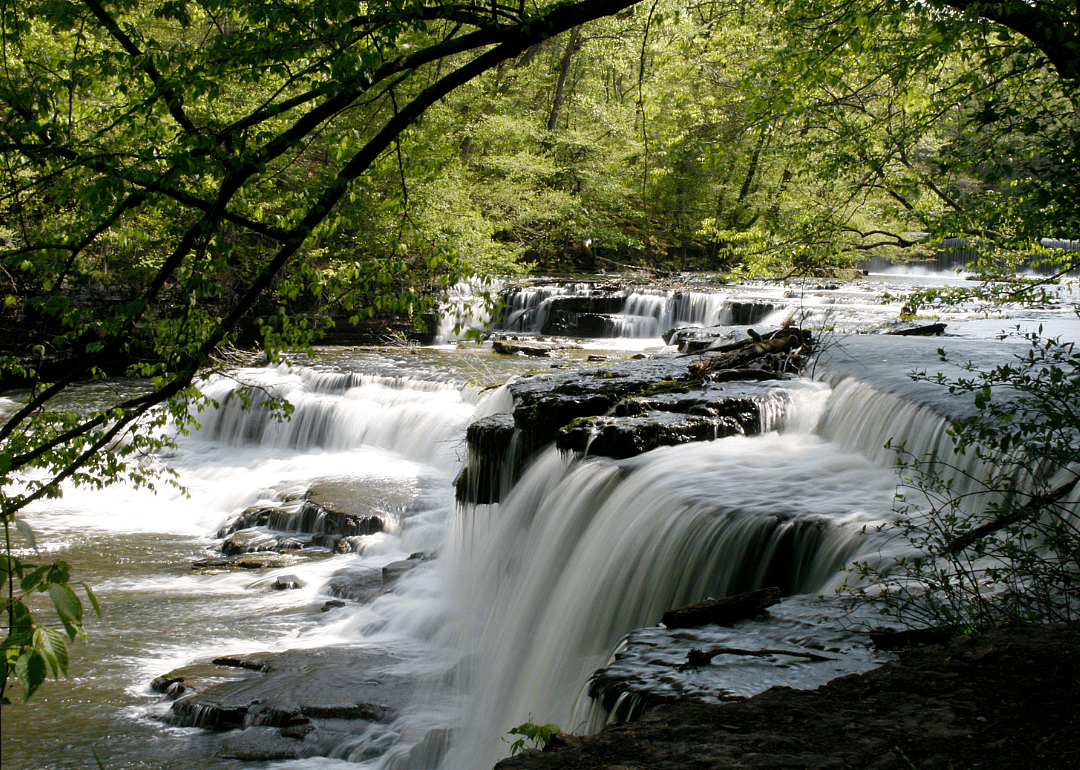 #9. Coffee County