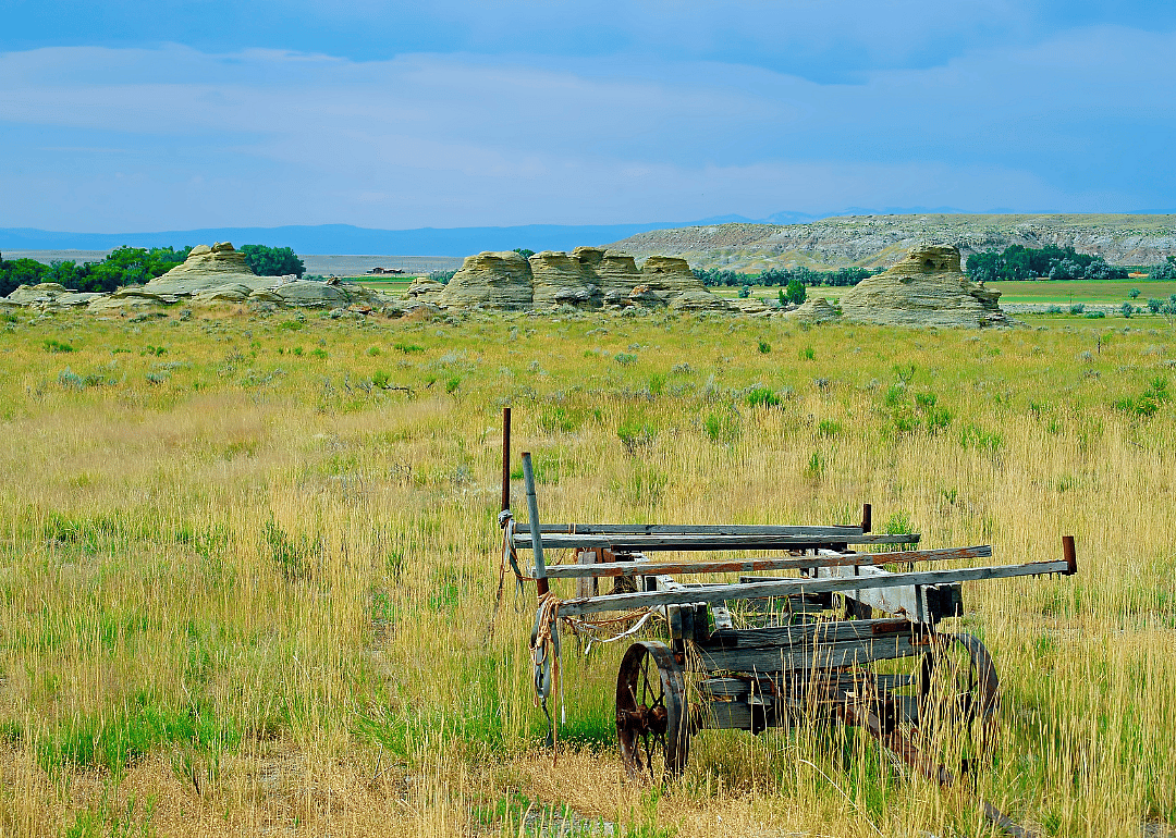 Old farm equipment in a field of tall grass