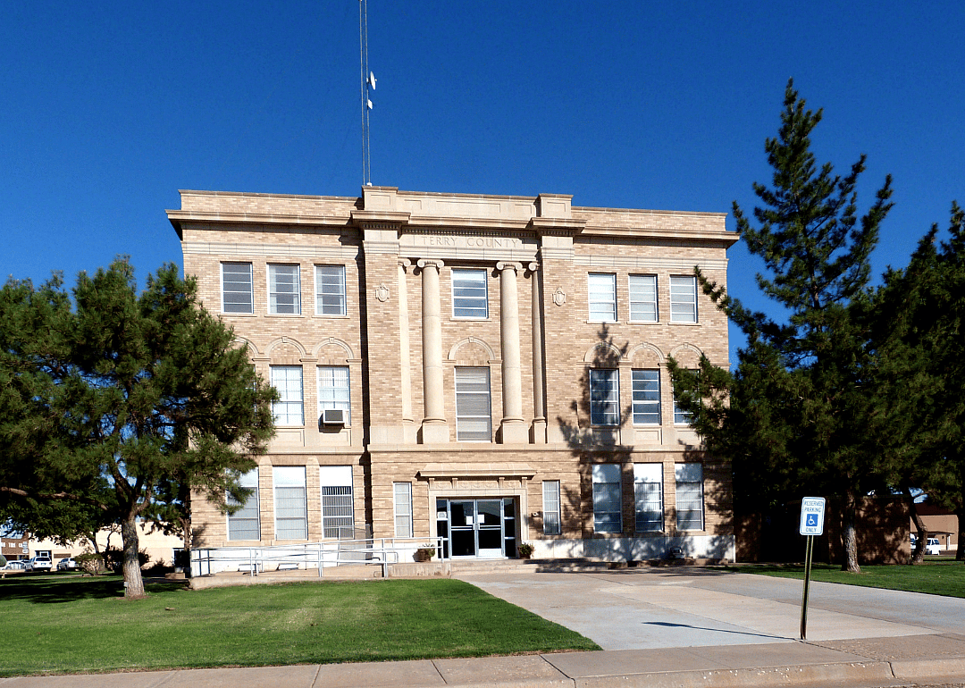 #18. Terry County