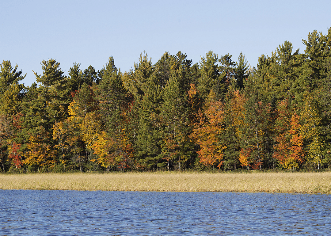 #3. Oneida County