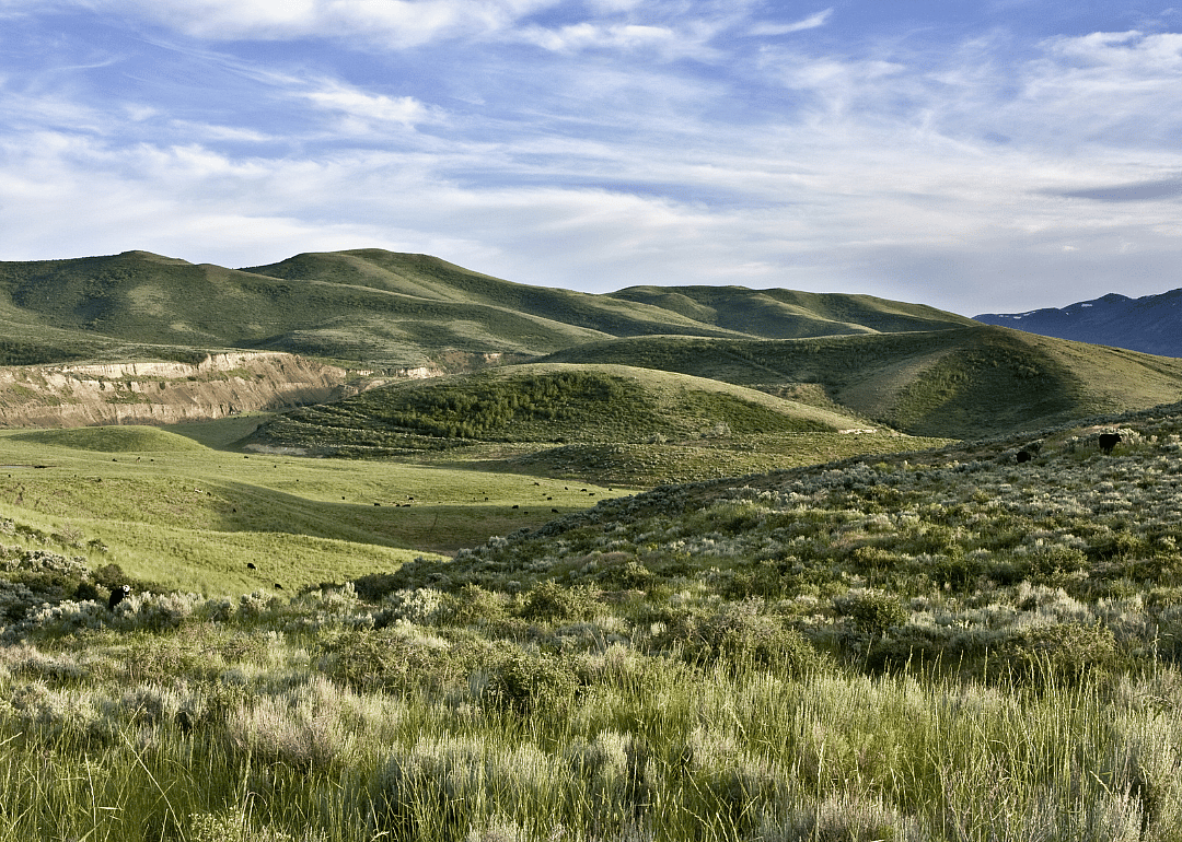 #38. Bingham County