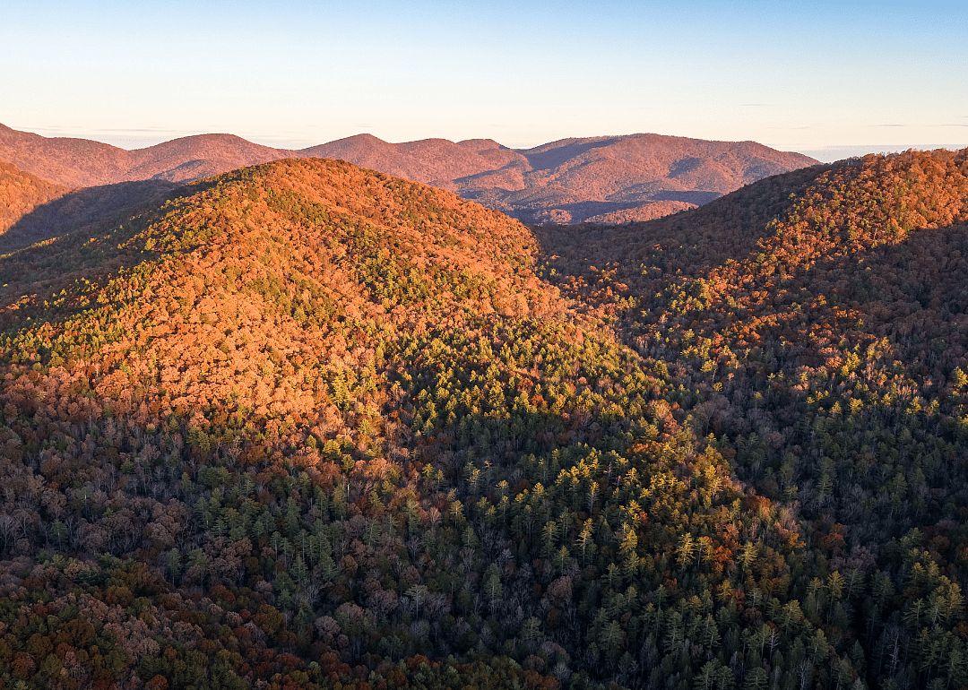 #17. Pickens County