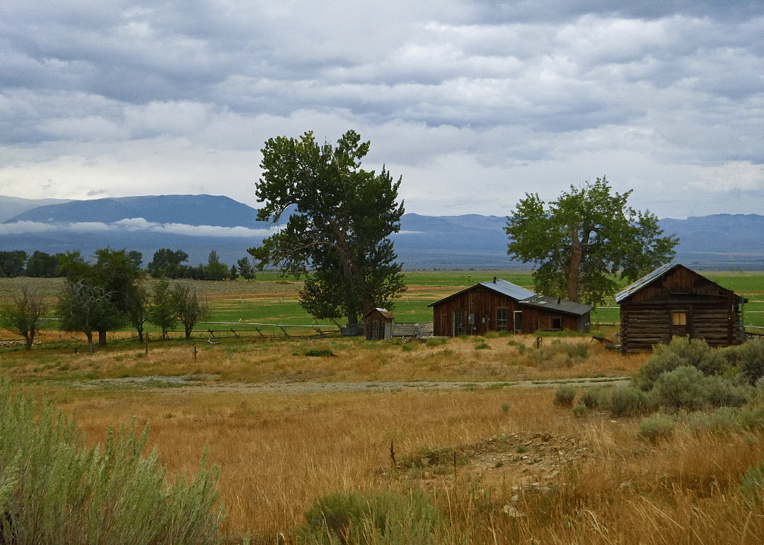 Lemhi County