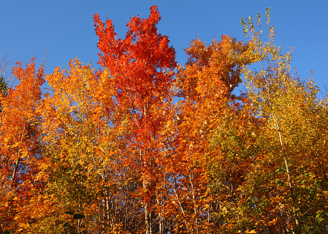 #10. Oxford, Maine