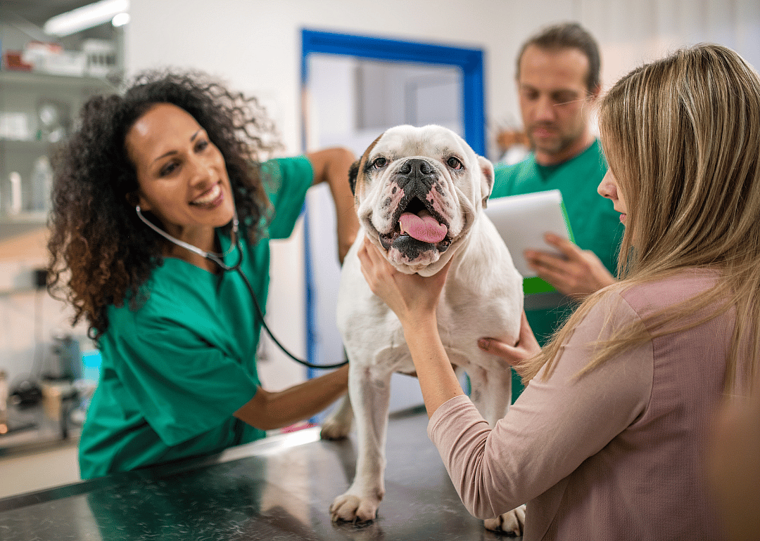 #12. Veterinarians
