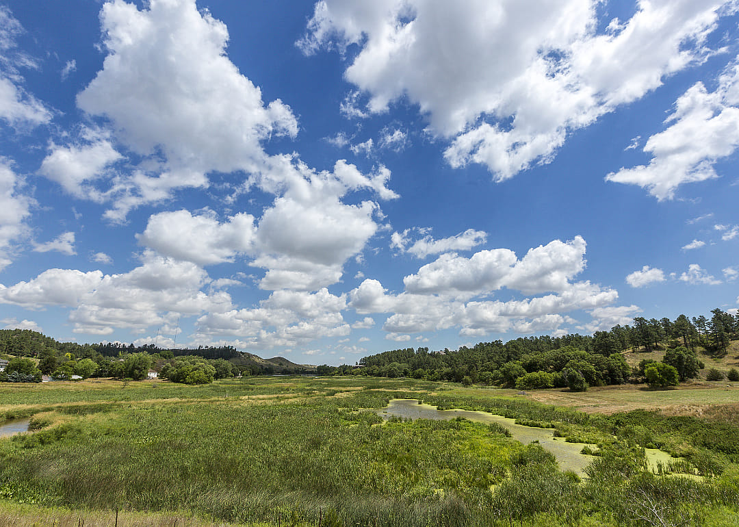 #45. Todd County