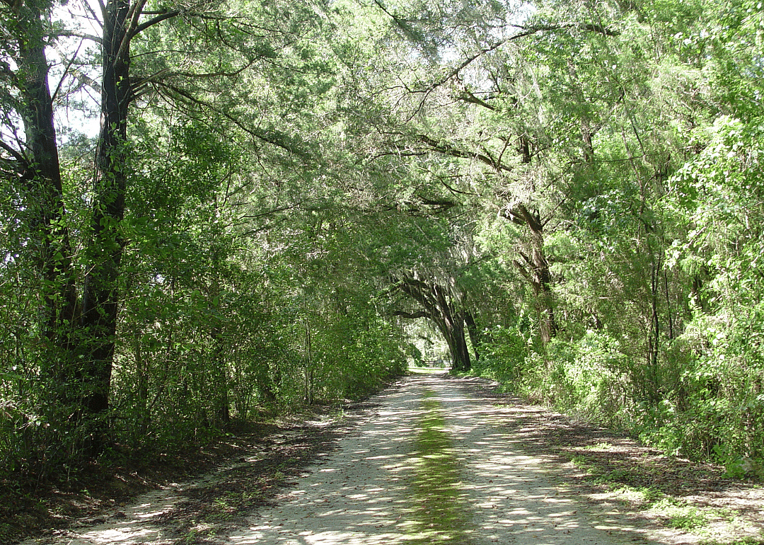 #48. Hernando County