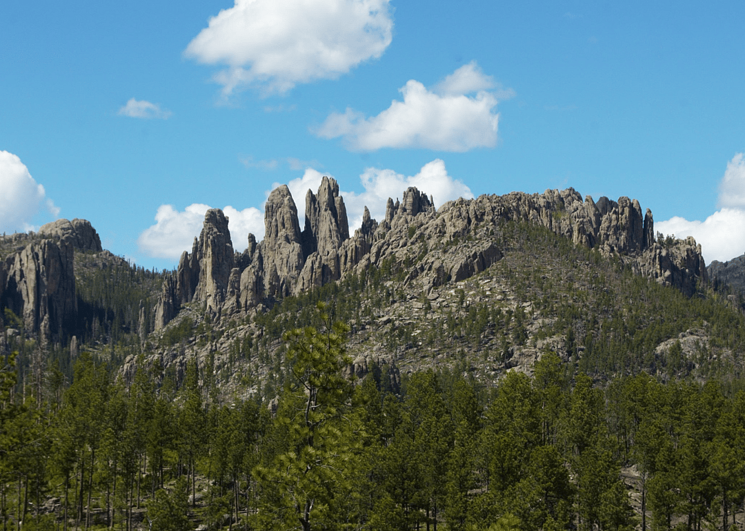 #50. Custer County
