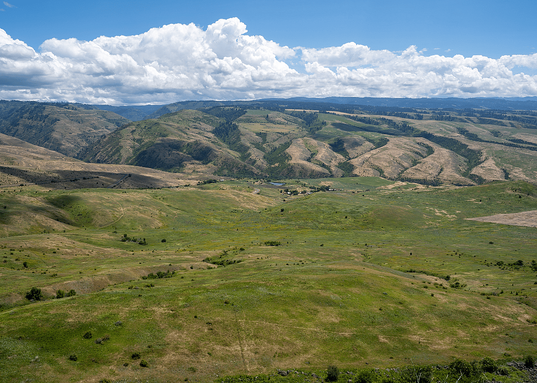 #14. Lewis County