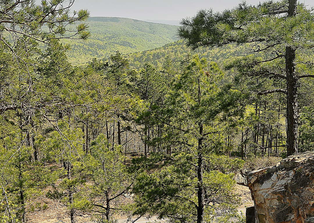 #3. Pushmataha County (tie)