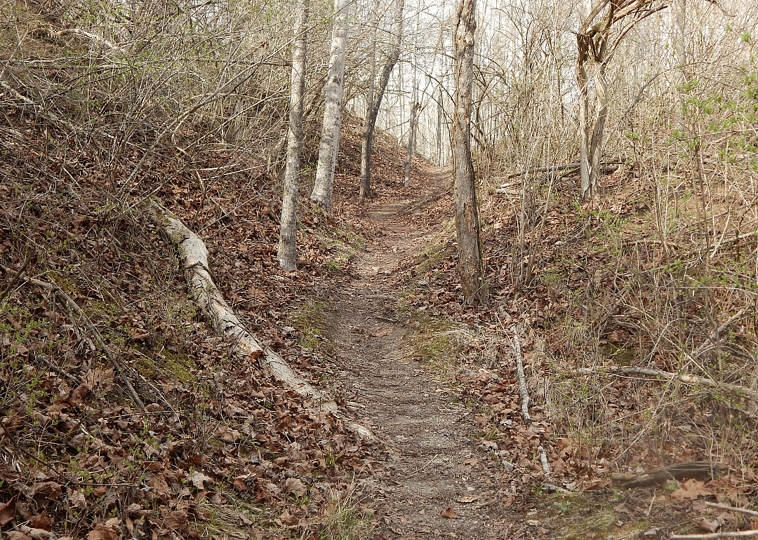 #28. Madison County