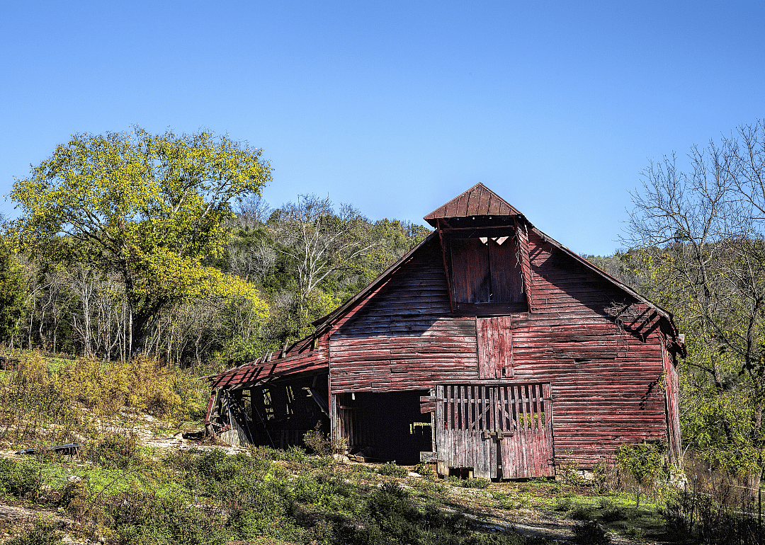 #23. Lewis County (tie)