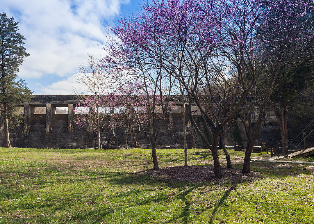 #41. Overton County