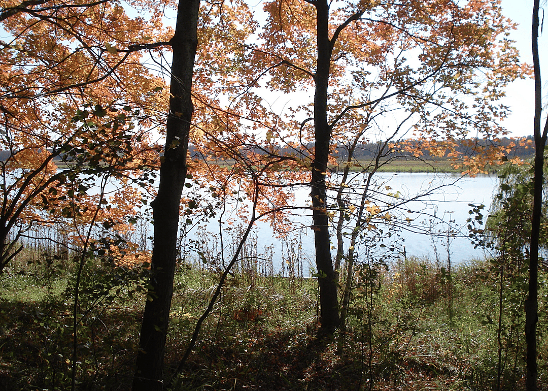 #16. Green Lake County