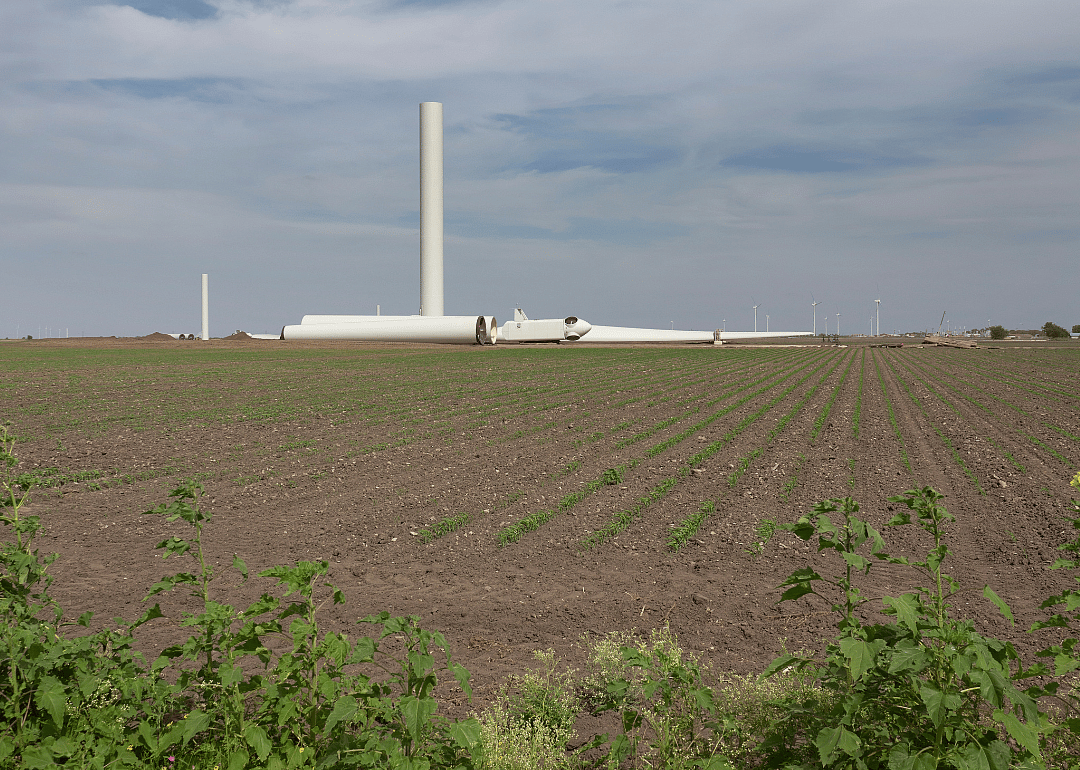 #49. Willacy County