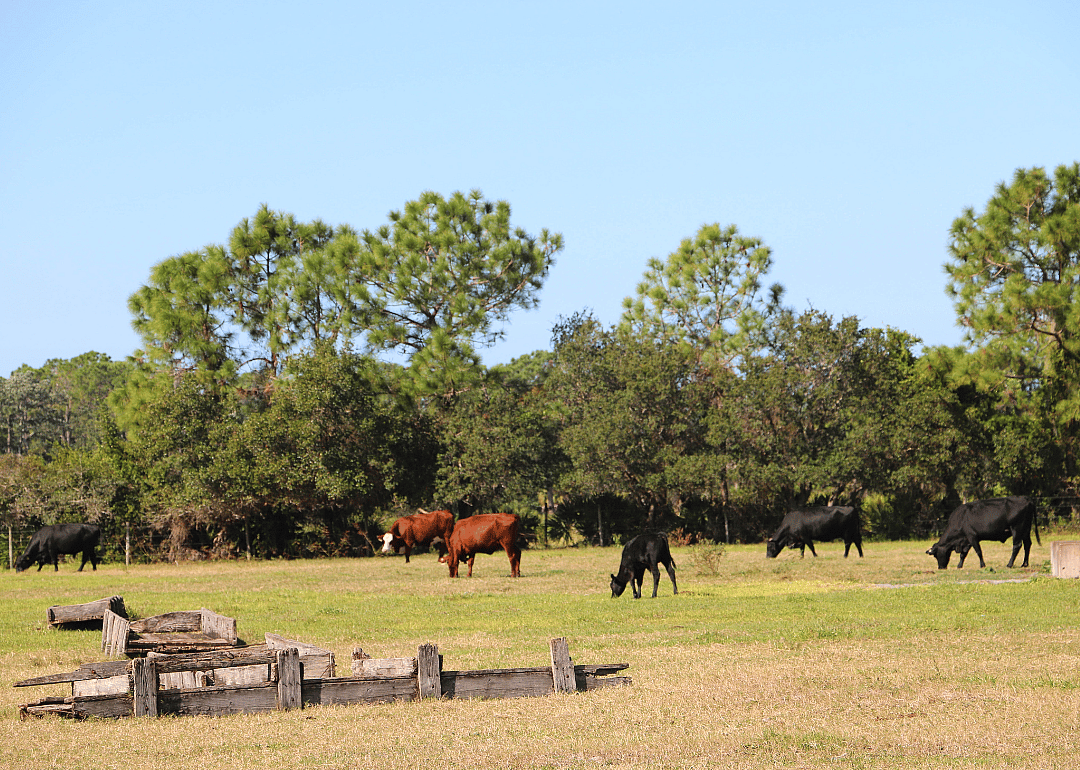 #38. Highlands County