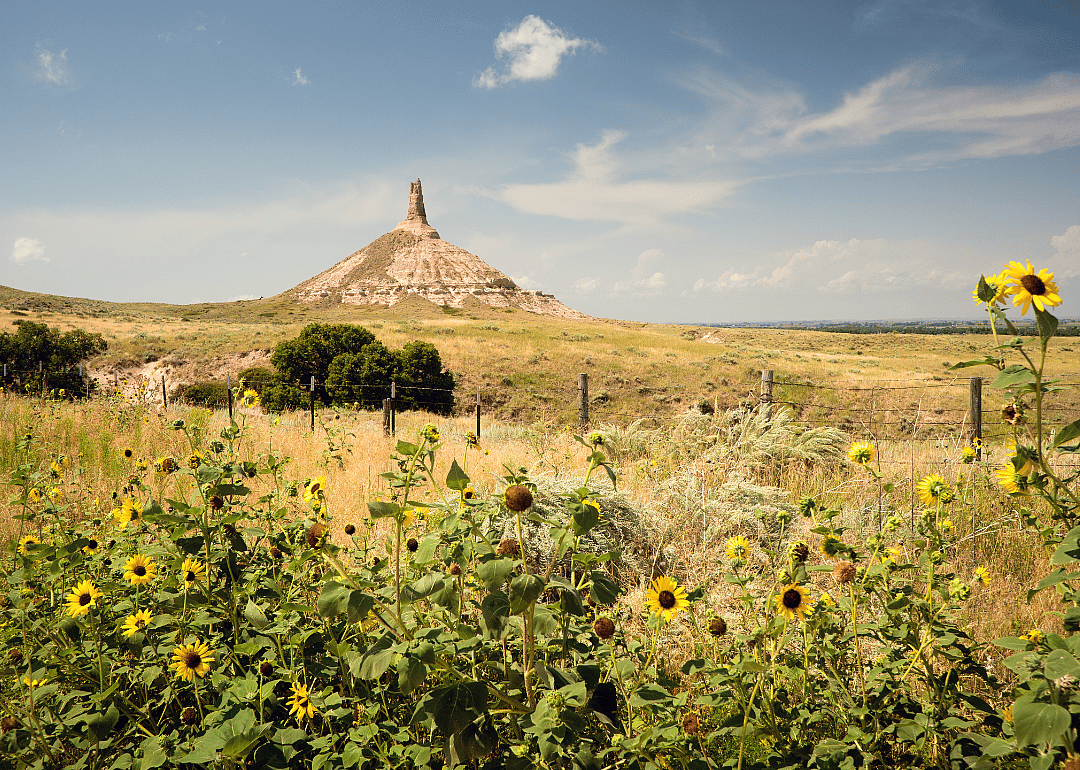 Morrill County