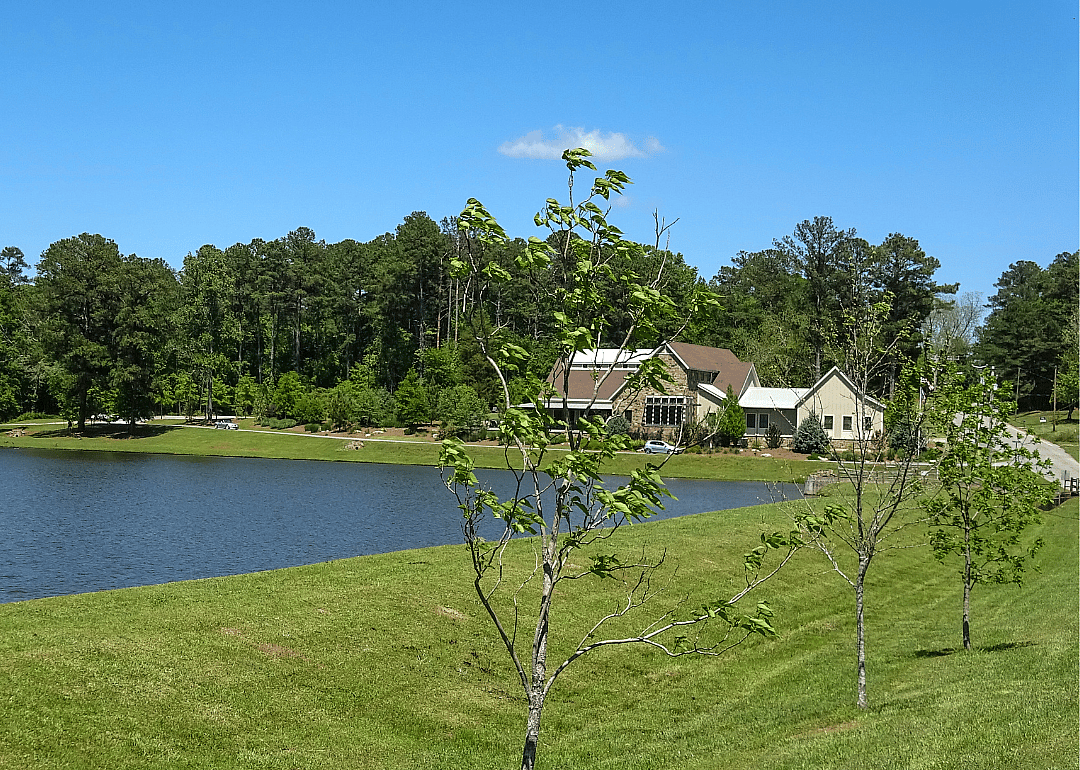 #15. Coweta