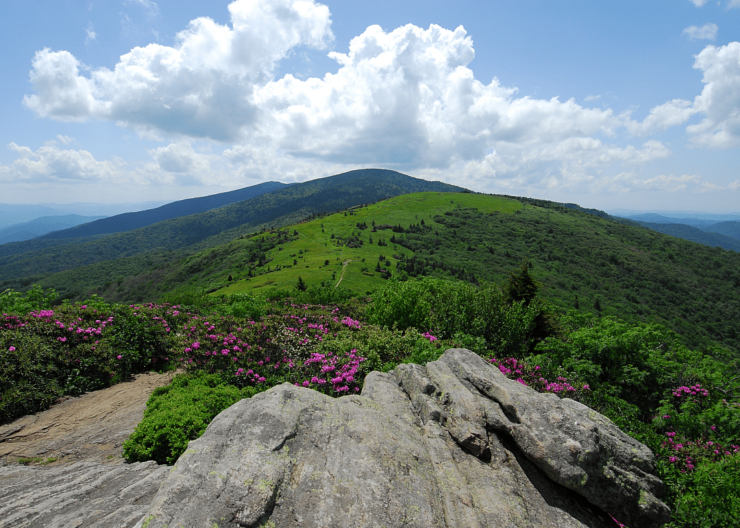 #6. Mitchell County, North Carolina