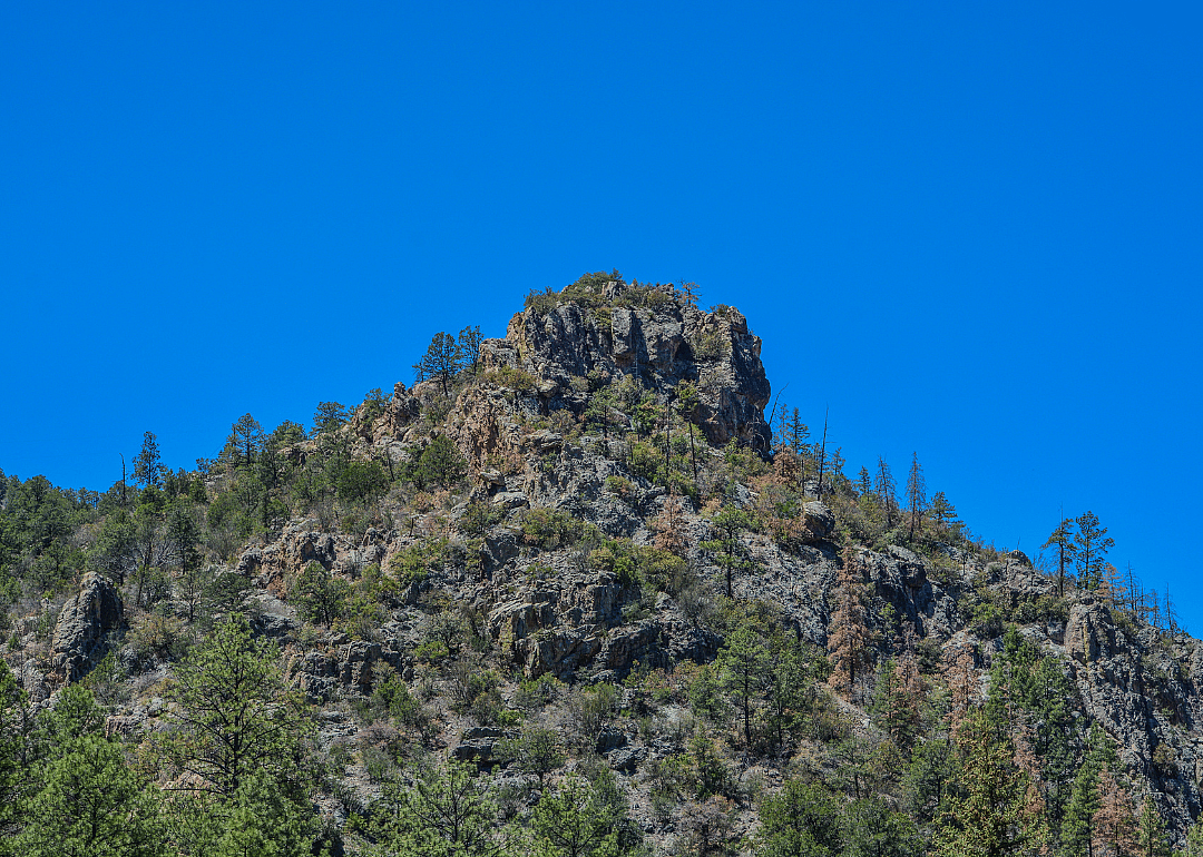 #6. Catron County