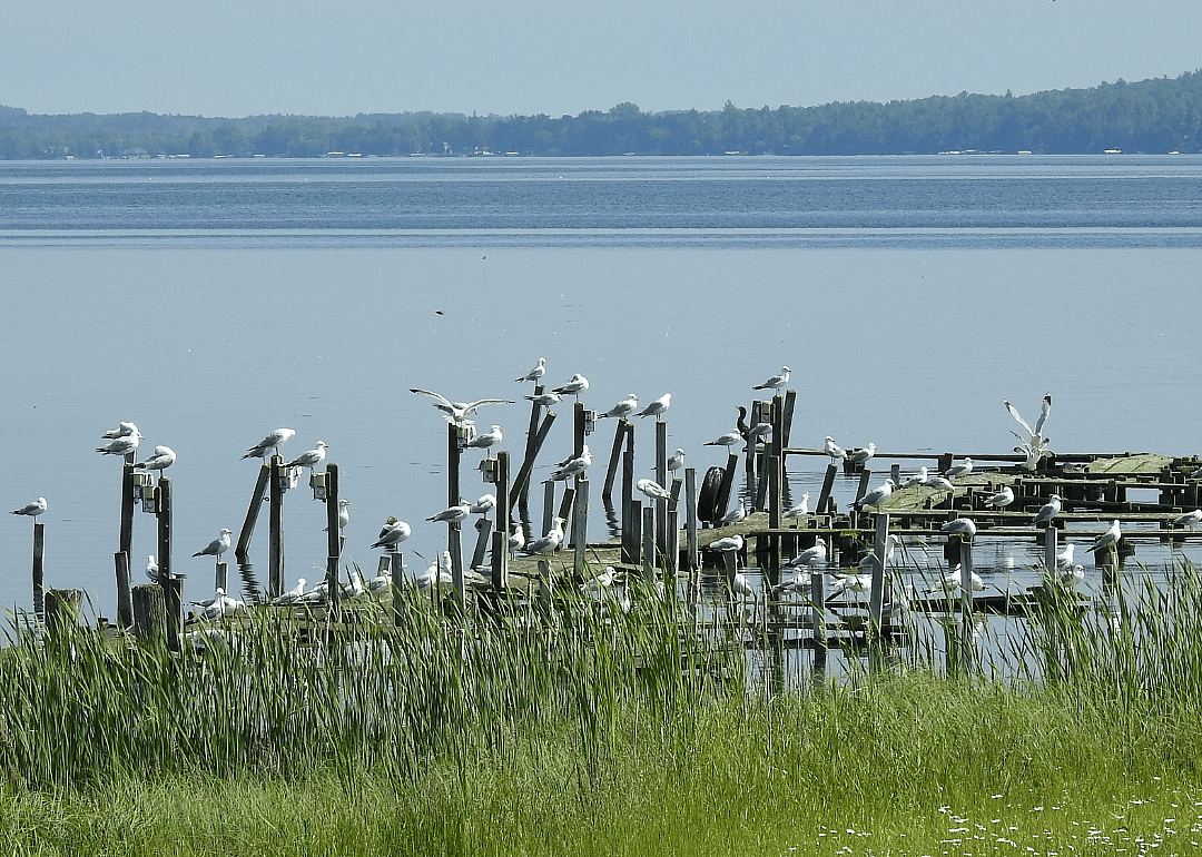Alcona County
