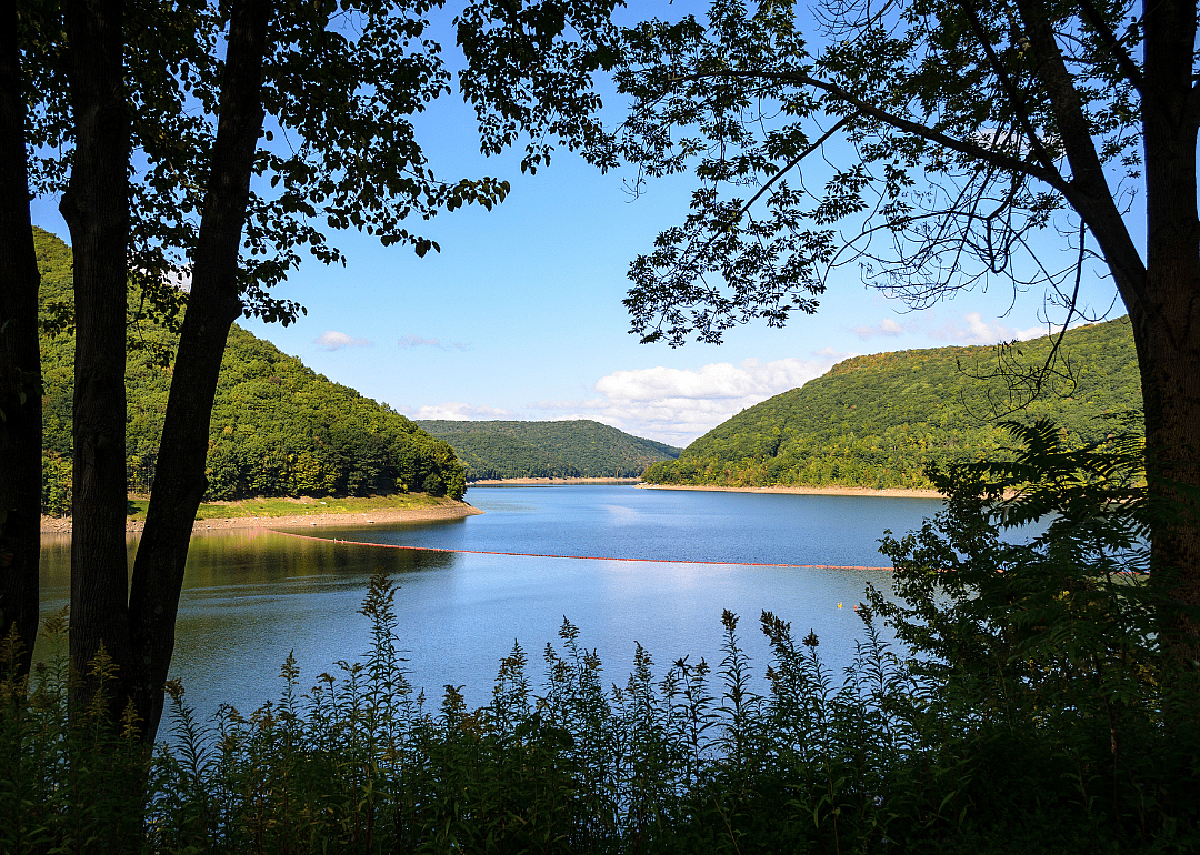 #7. McKean County