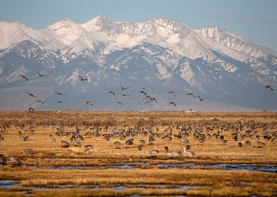 #11. Rio Grande County