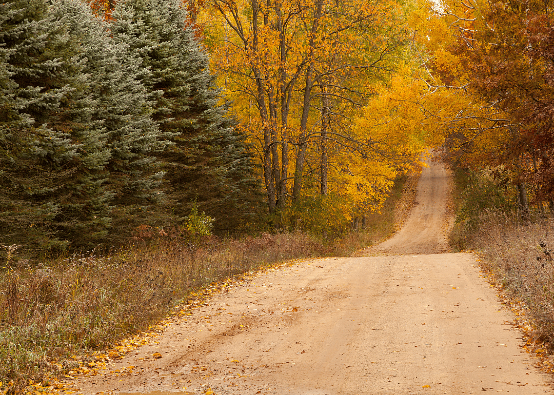 #46. Oceana County