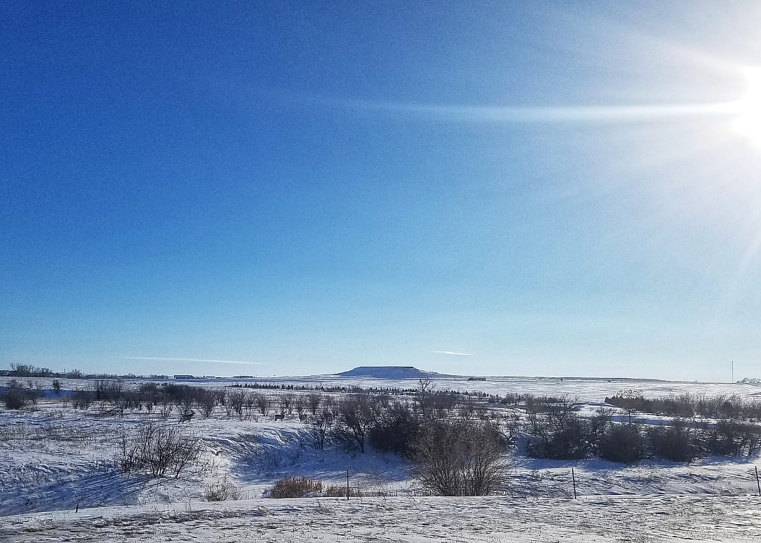 #15. McLean County