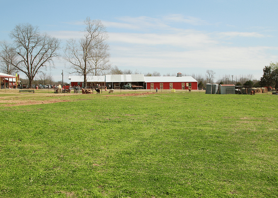 #10. Van Buren County