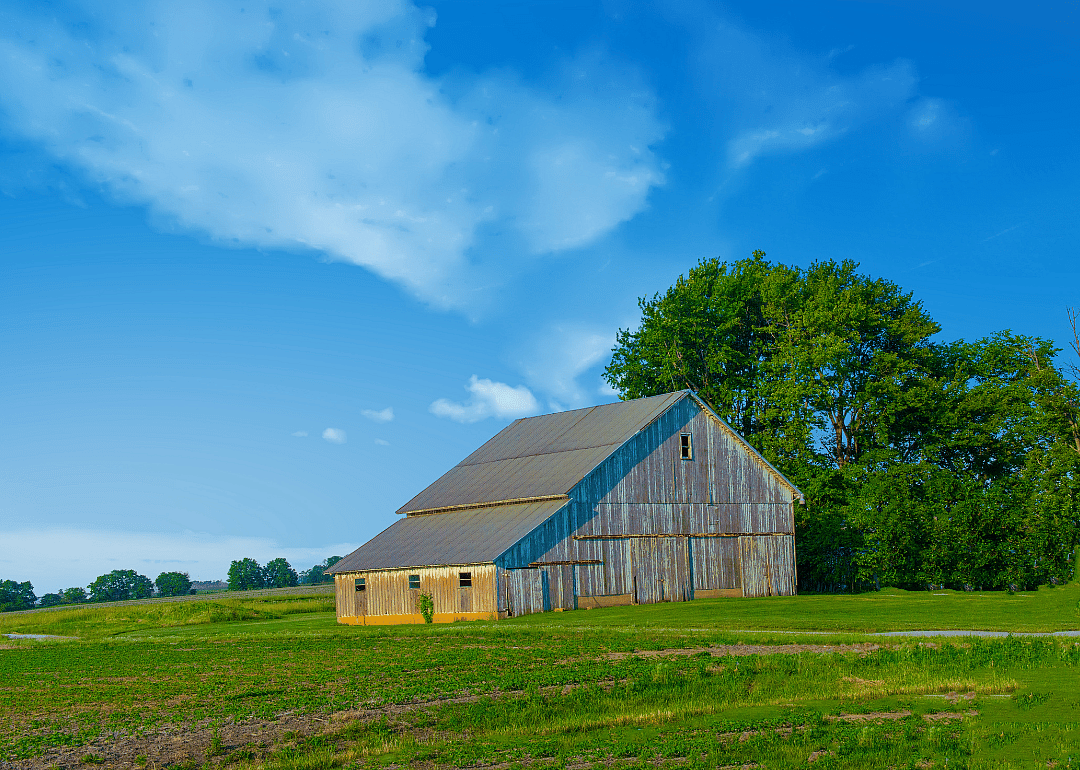 #15. Miami County