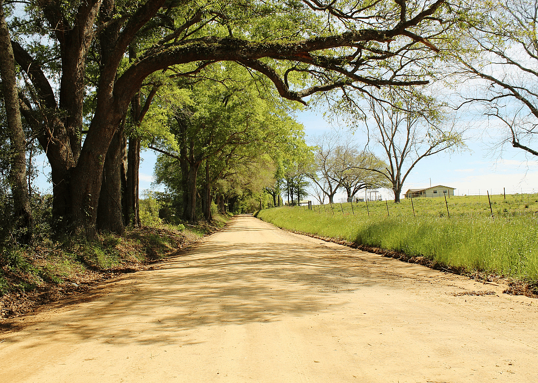 #32. Holmes County